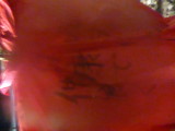img0109.jpg