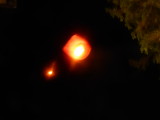 img0115.jpg
