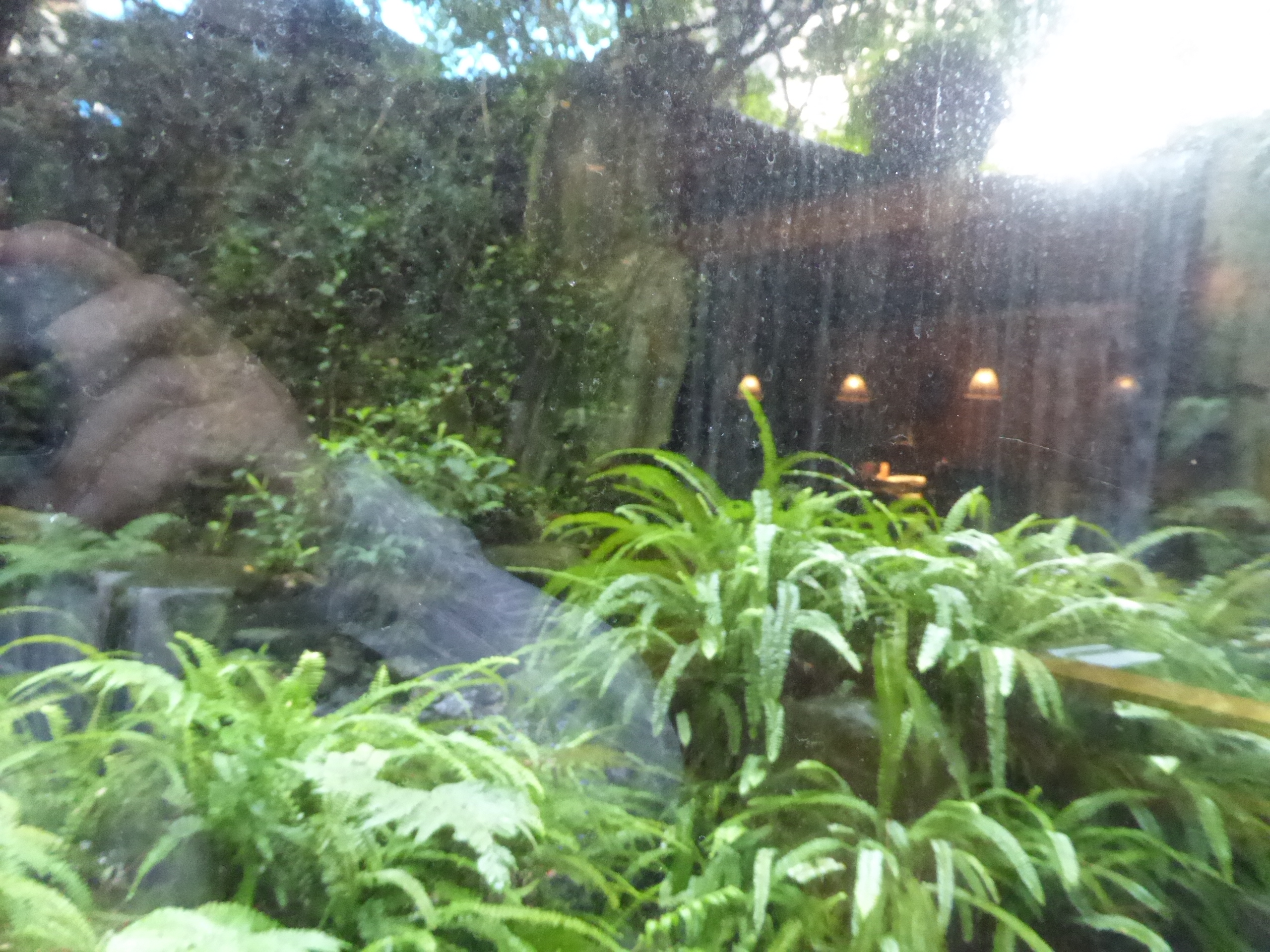 P1070174.JPG