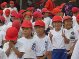 img0061.jpg