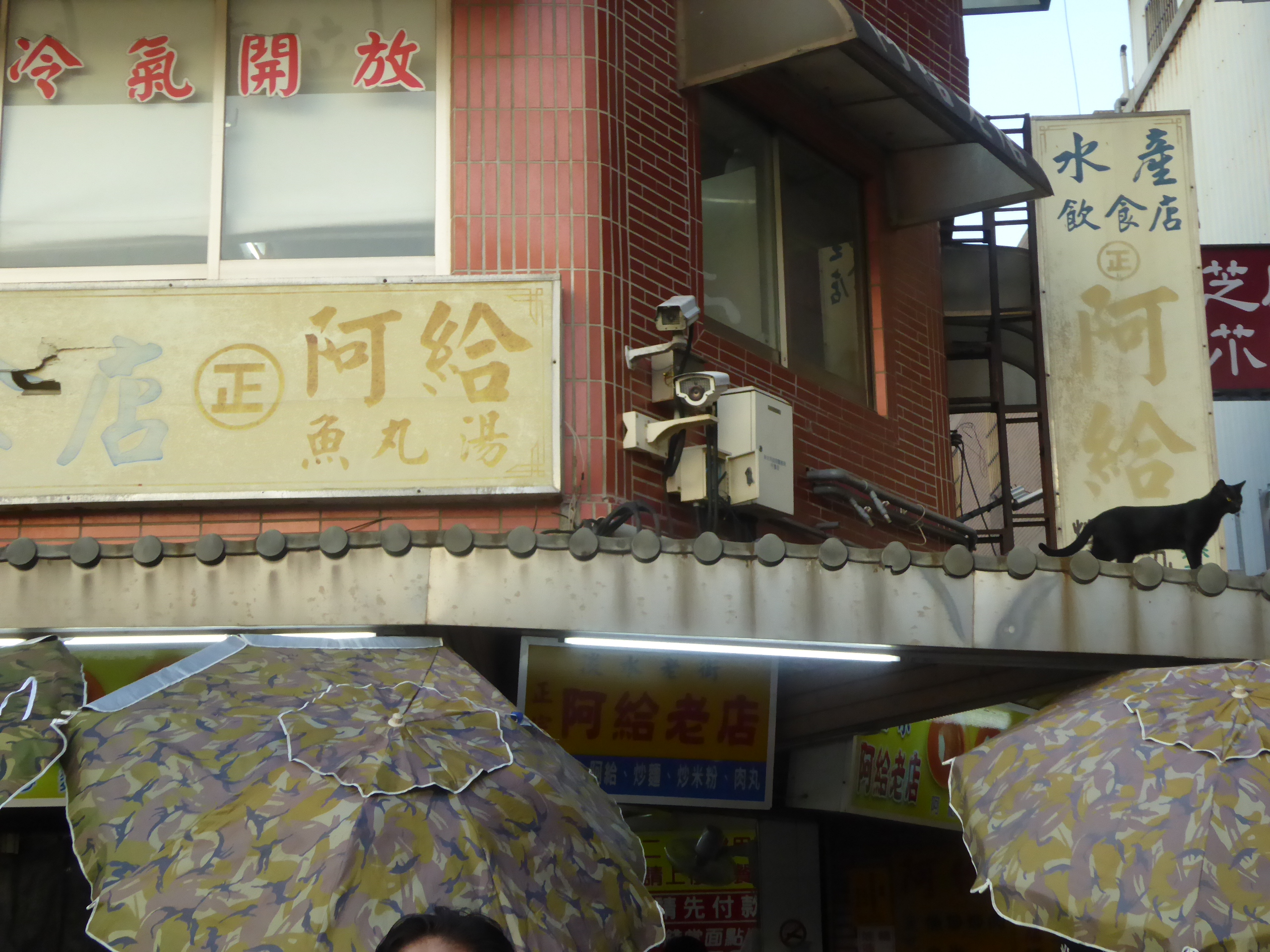 P1070466.JPG