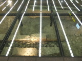 img0023.jpg