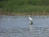 img0091.jpg