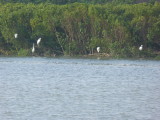 img0103.jpg