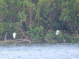 img0104.jpg