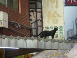 img0172.jpg