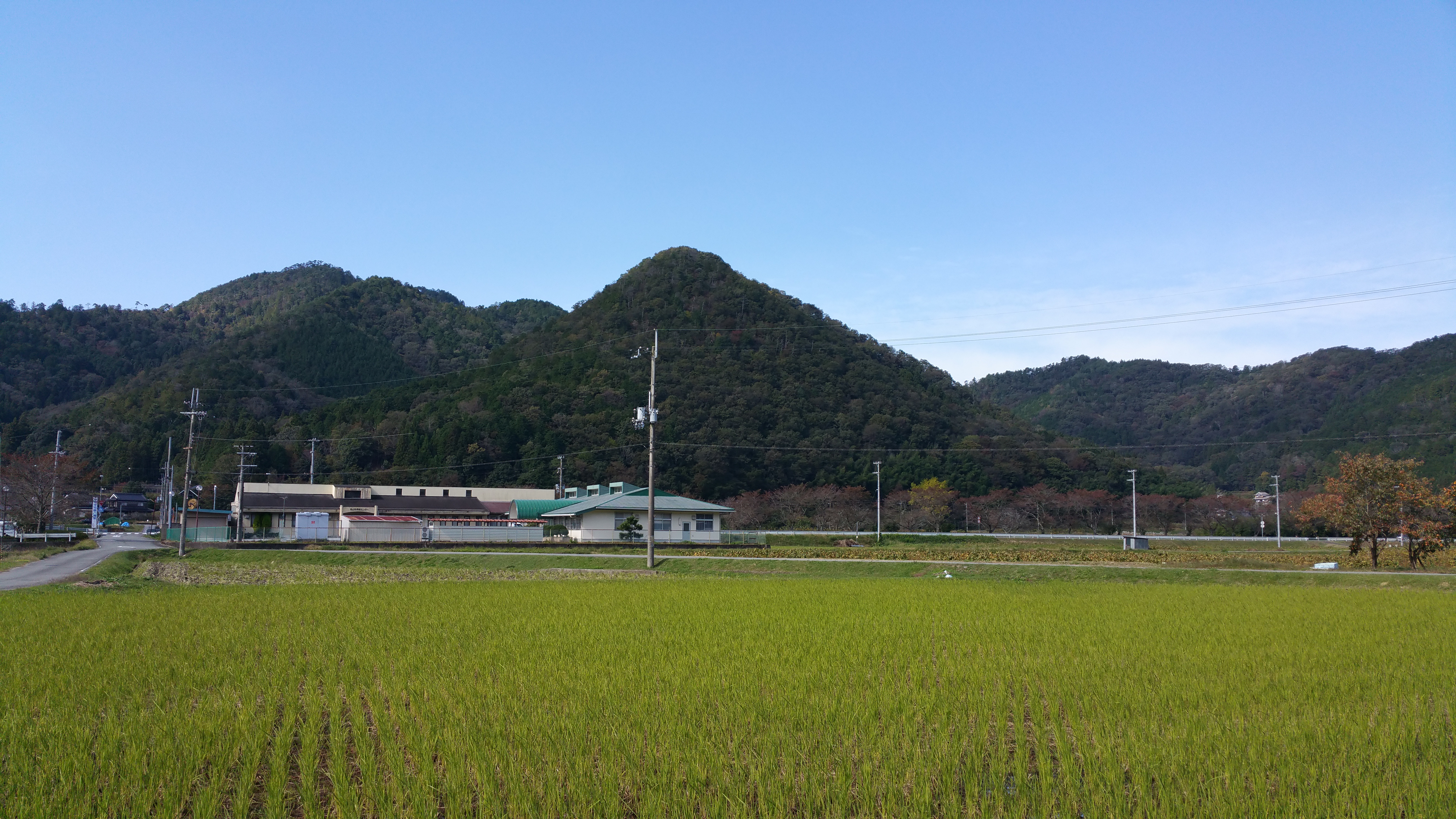 20161030_115607.jpg