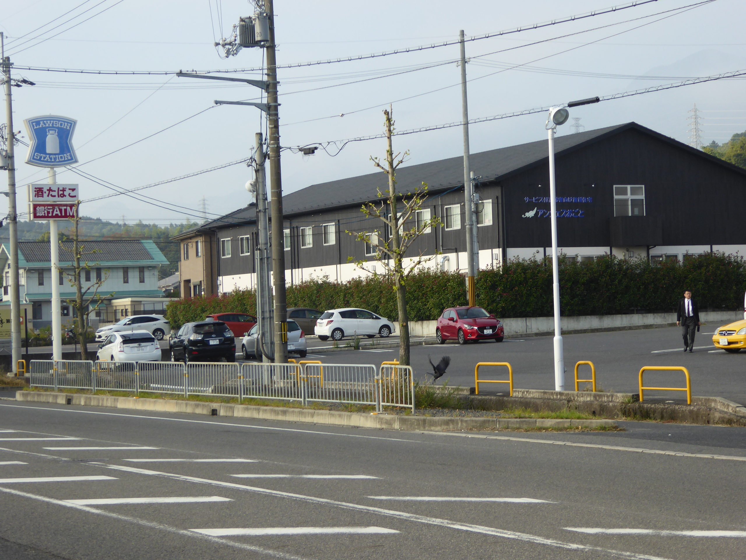 P1070572.JPG
