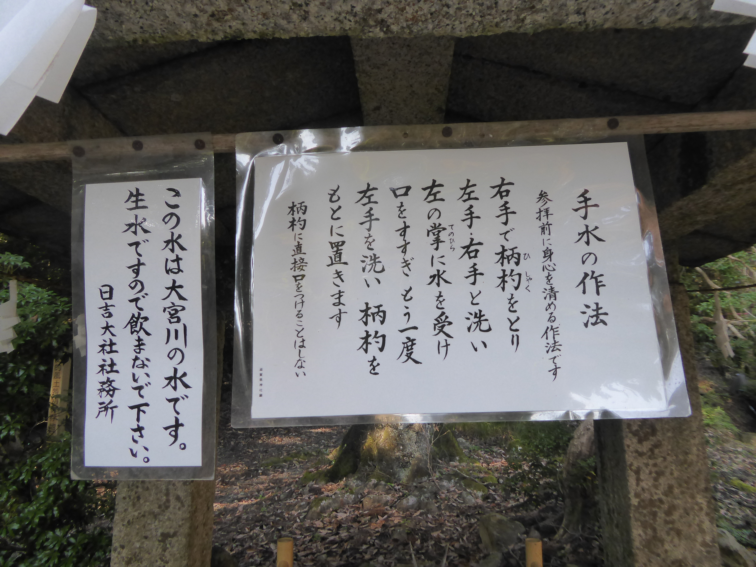 P1070610.JPG