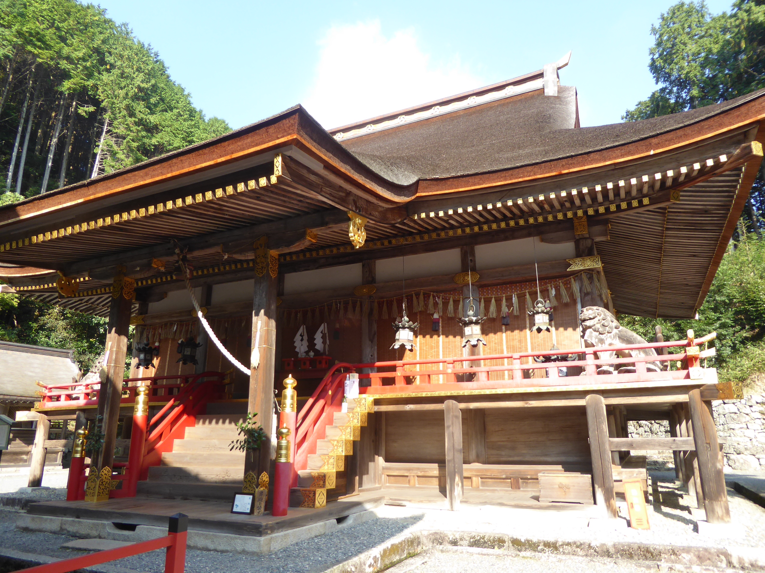 P1070637.JPG