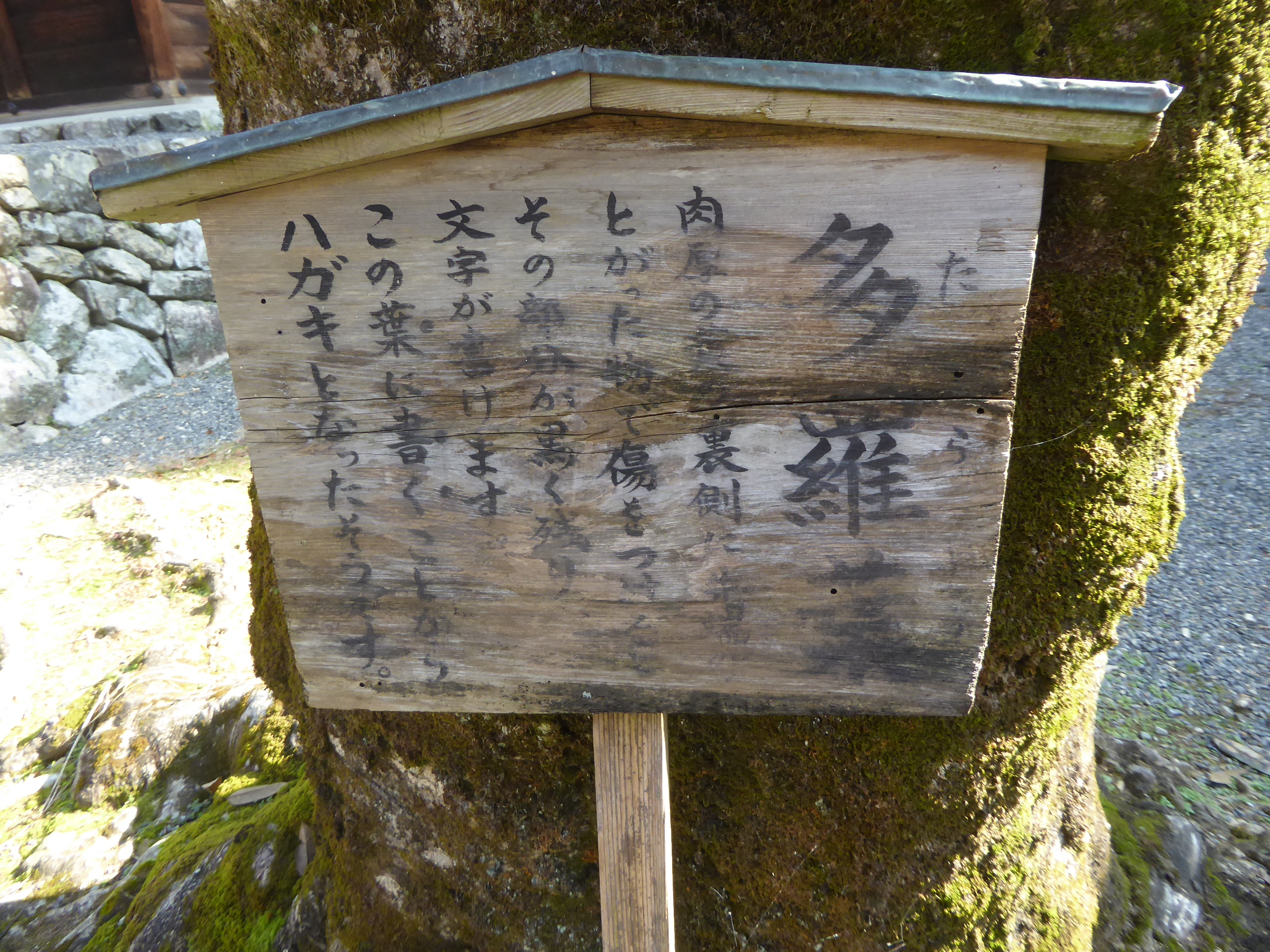 P1070641.JPG