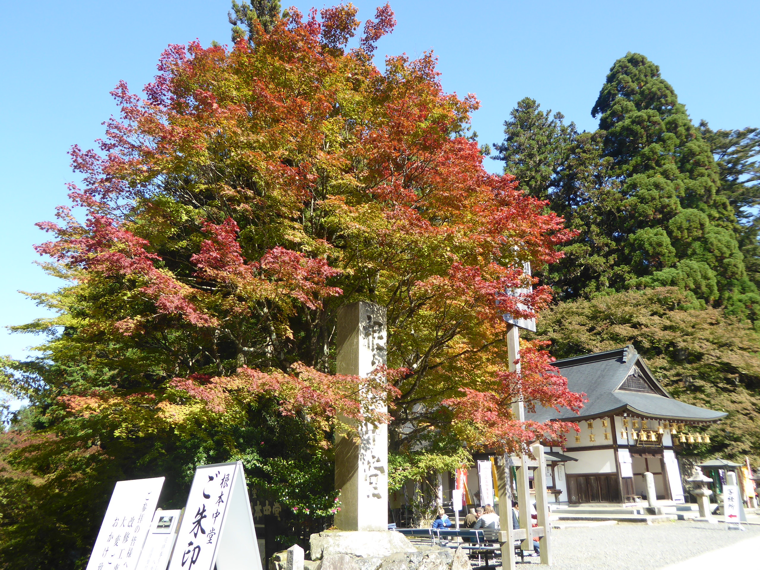 P1070649.JPG