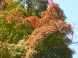 img0024.jpg