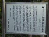 img0028.jpg