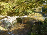 img0031.jpg