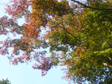 img0034.jpg
