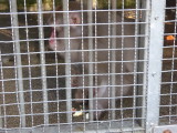 img0037.jpg