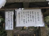 img0045.jpg
