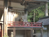 img0050.jpg