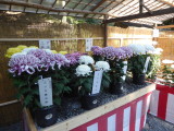 img0059.jpg