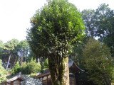 img0077.jpg