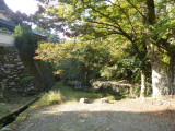 img0079.jpg