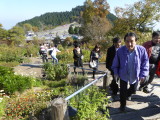 img0095.jpg