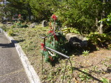 img0100.jpg