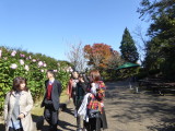 img0103.jpg