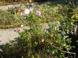 img0106.jpg