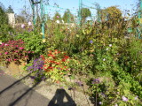 img0110.jpg
