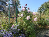 img0111.jpg