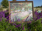 img0116.jpg