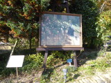 img0120.jpg