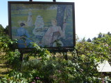 img0123.jpg
