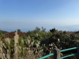 img0126.jpg