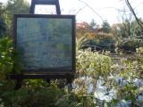 img0132.jpg
