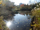 img0133.jpg