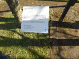 img0138.jpg