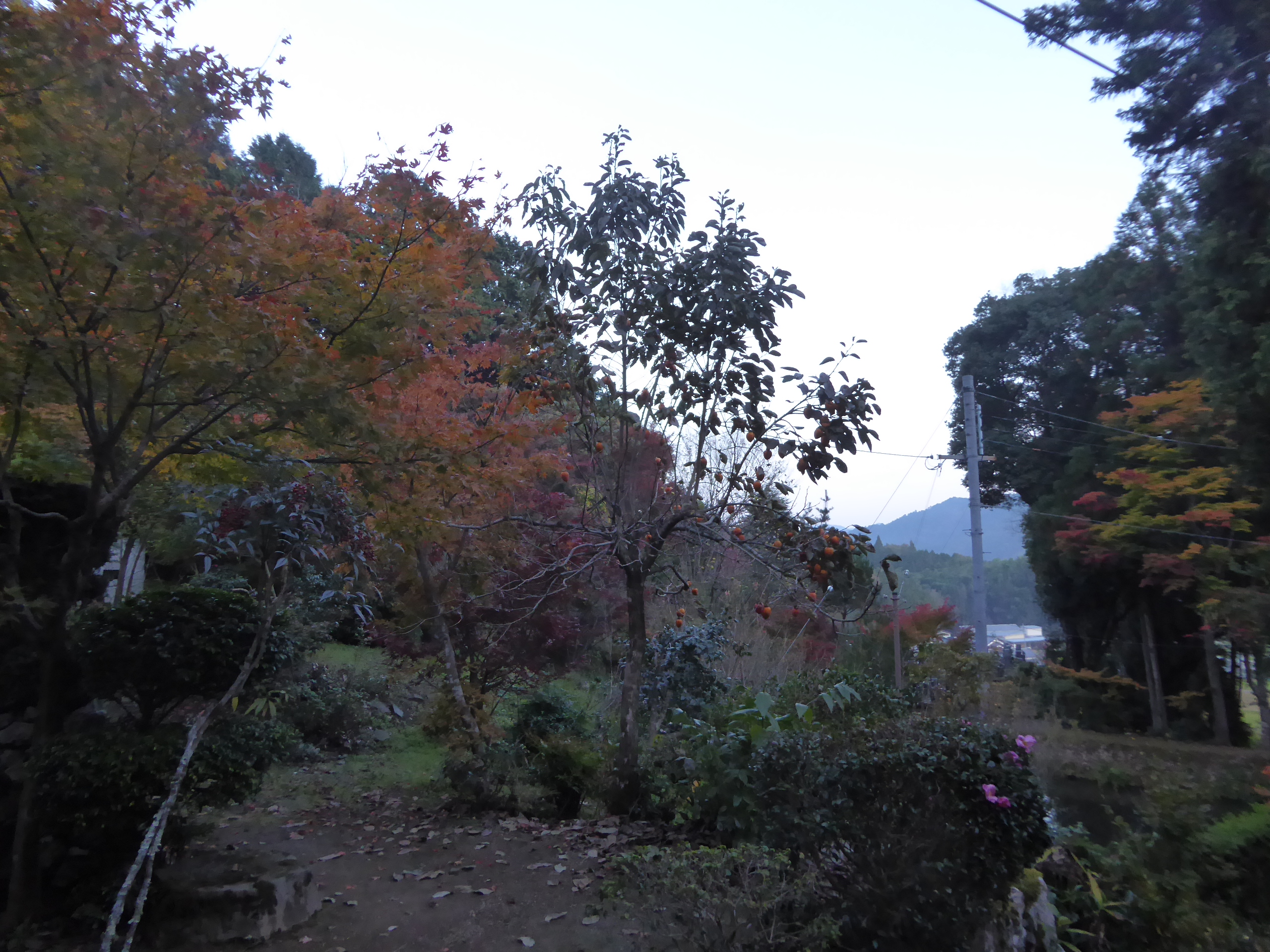 P1070724.JPG