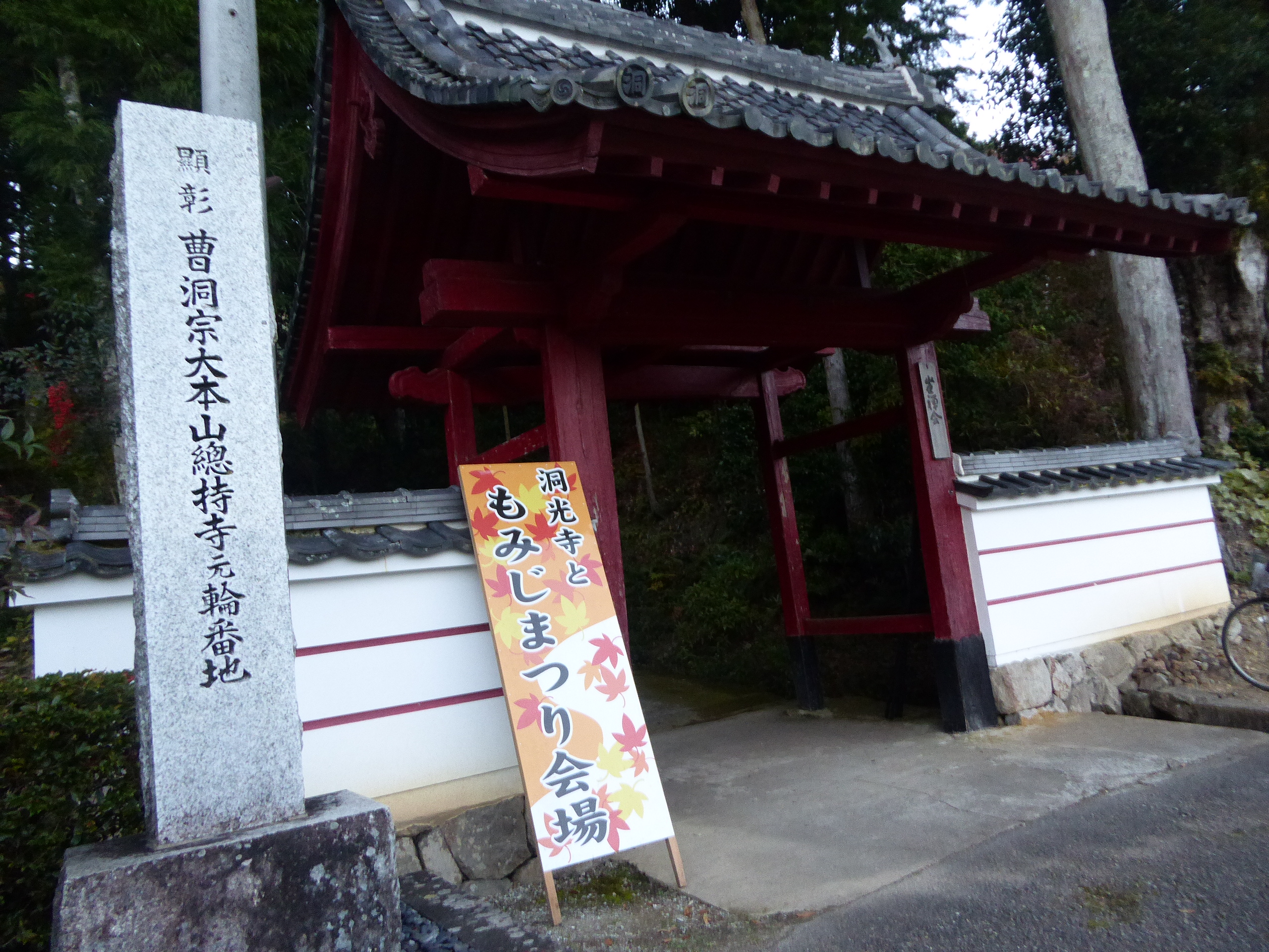 P1070731.JPG
