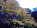 img0000.jpg