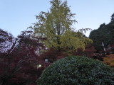 img0002.jpg