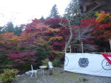 img0003.jpg