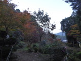 img0004.jpg