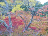 img0005.jpg