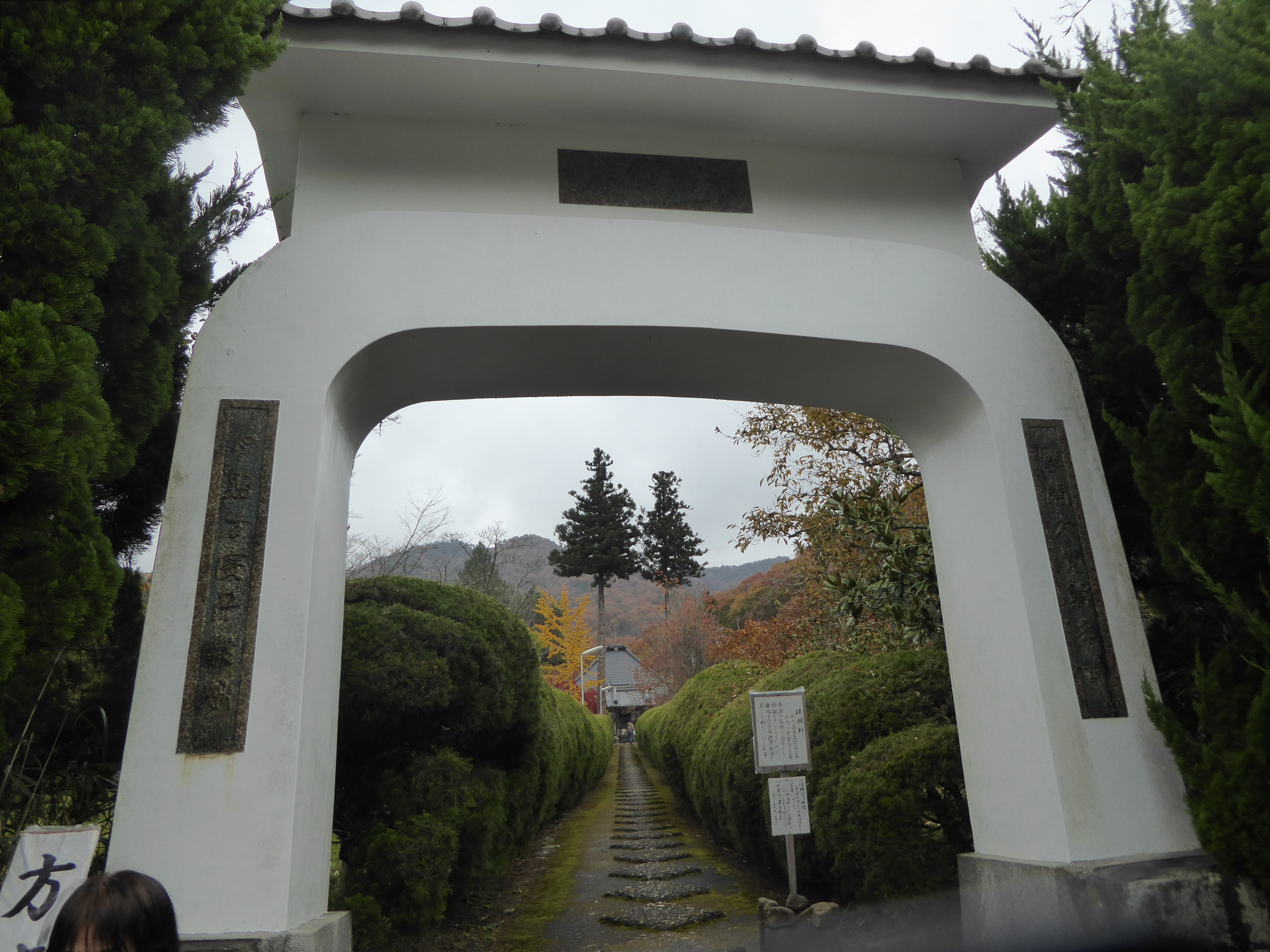 P1070733.JPG