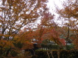 img0008.jpg