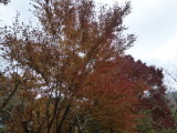 img0009.jpg