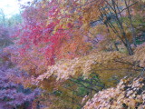 img0010.jpg